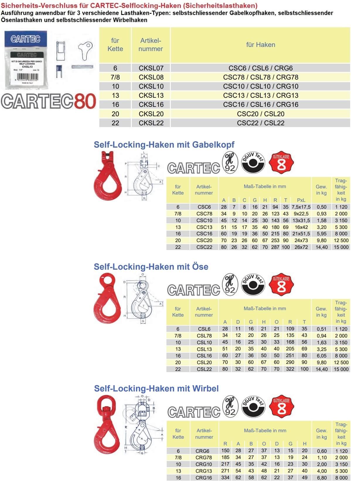Sicherung für Selflocking Lasthaken von Cartec