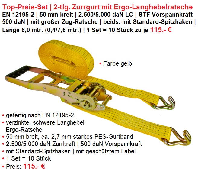 R-Zurrgurt 1-tlg L.6m/B.50mm 2000/4000daN E/D/E Logistik-Cente 